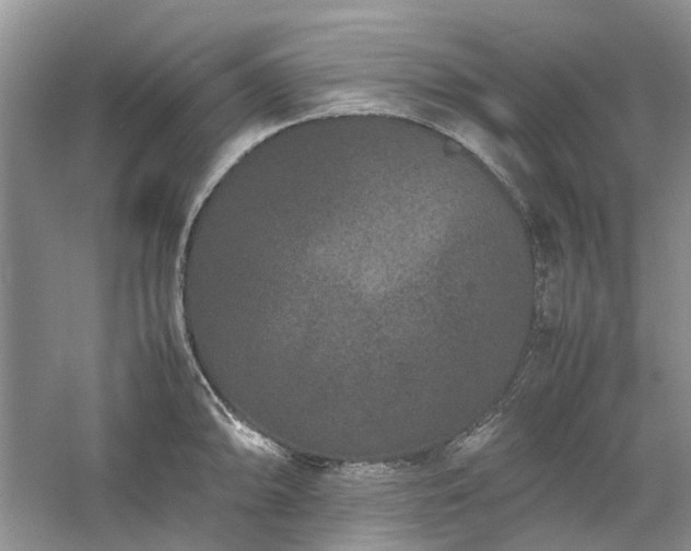 X0000061141094200511181201