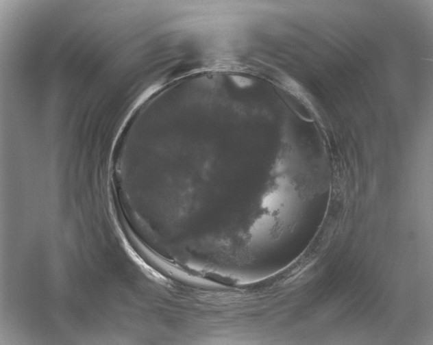 X0000061141095200511181201