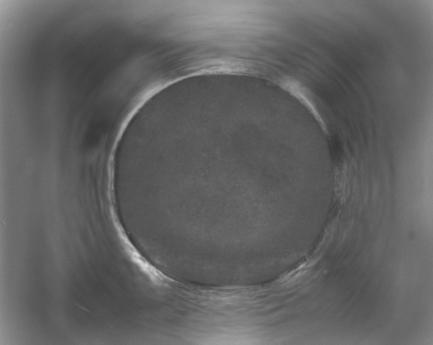 X0000061141099200511181201