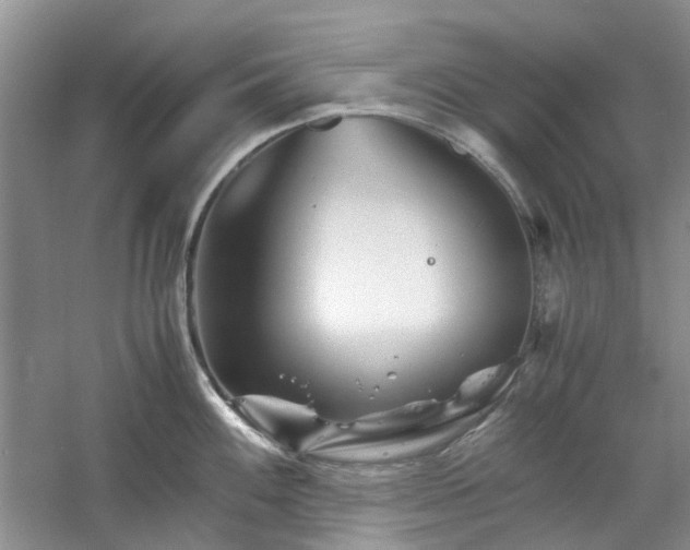 X0000061141100200511181201