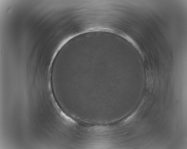 X0000061141102200511181201