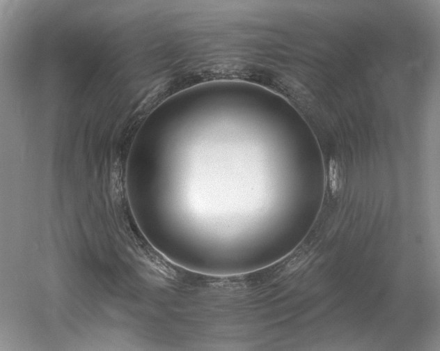 X0000061141107200511181200