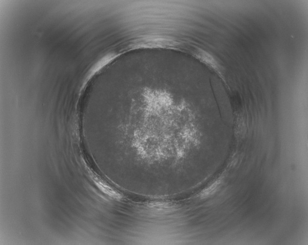 X0000061141114200511181200