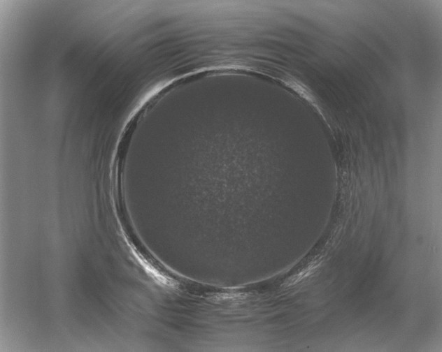 X0000061141127200511181201