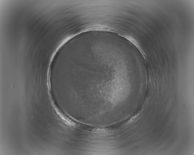 X0000061141128200511181201