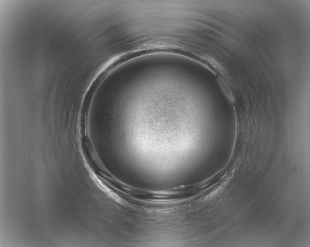 X0000061141134200511181201