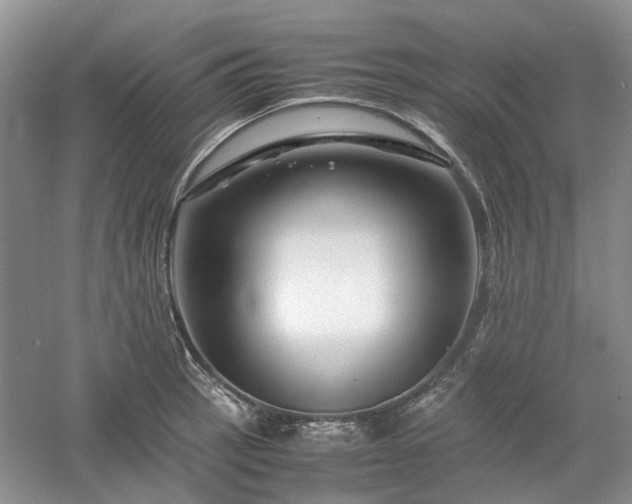 X0000061141137200511181201