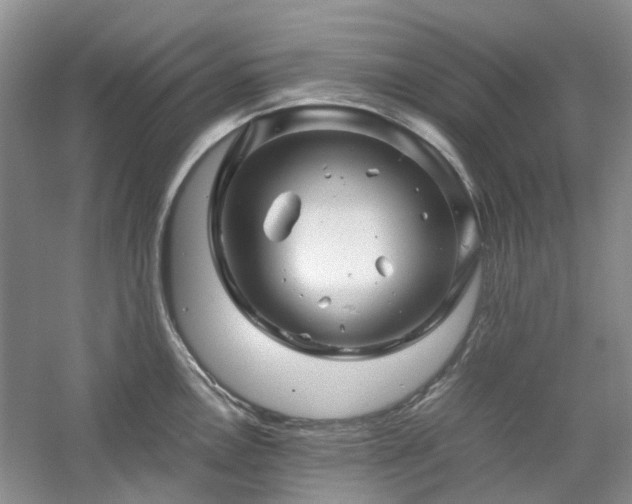 X0000061141146200511181201