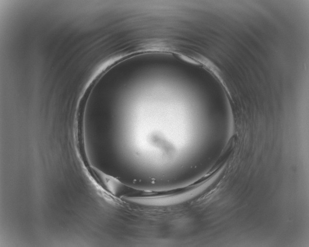 X0000061141147200511181201