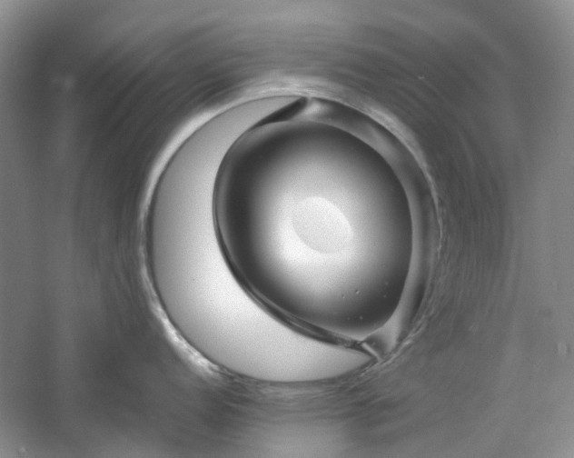 X0000061141152200511181201