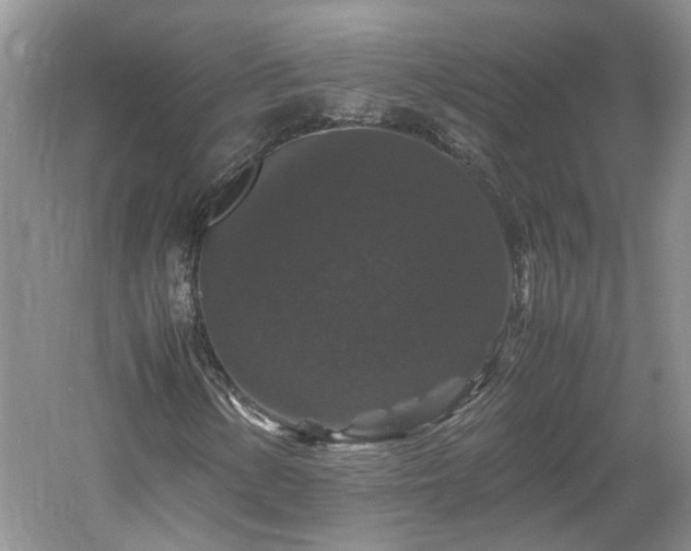X0000061141154200511181200