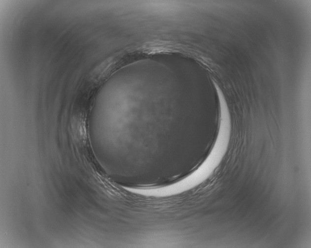 X0000061141155200511181200