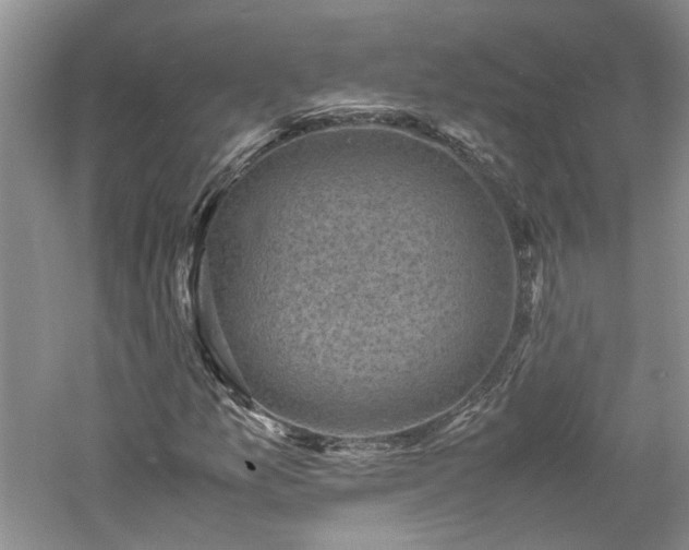 X0000061141157200511181200