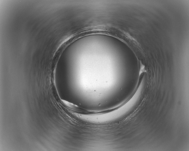 X0000061141166200511181200