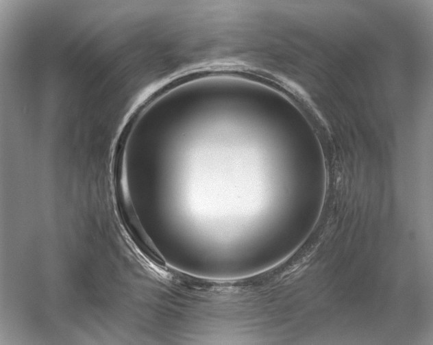 X0000061141176200511181200