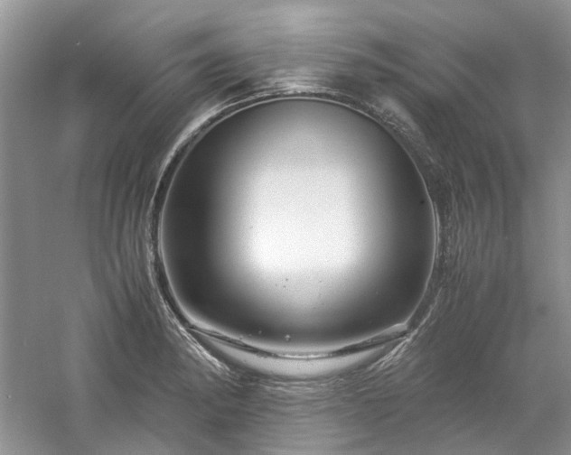 X0000061141182200511181200
