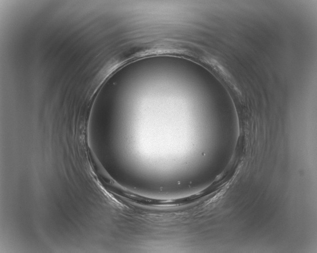 X0000061141185200511181200