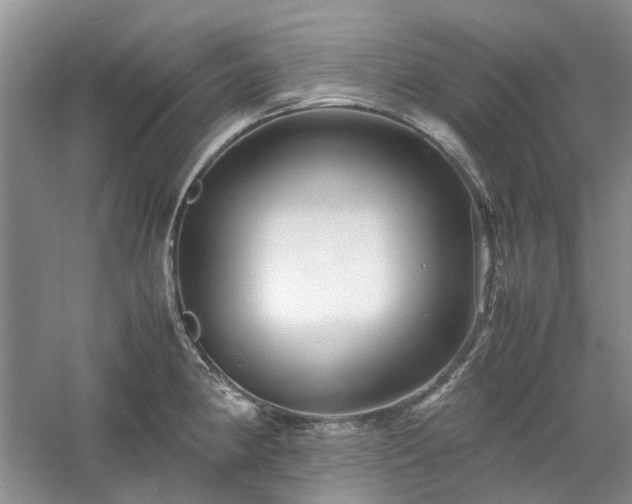 X0000061141190200511181159