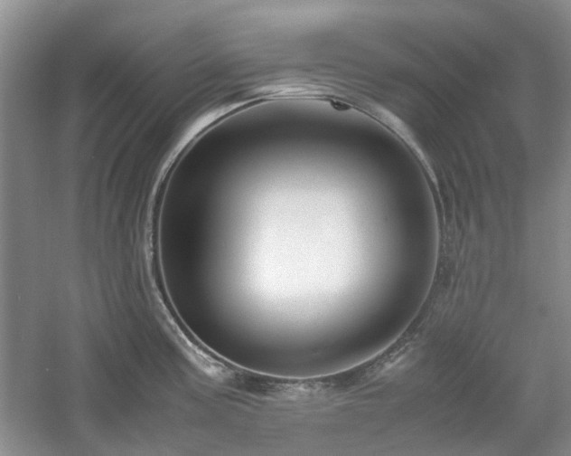 X0000061141195200511181159