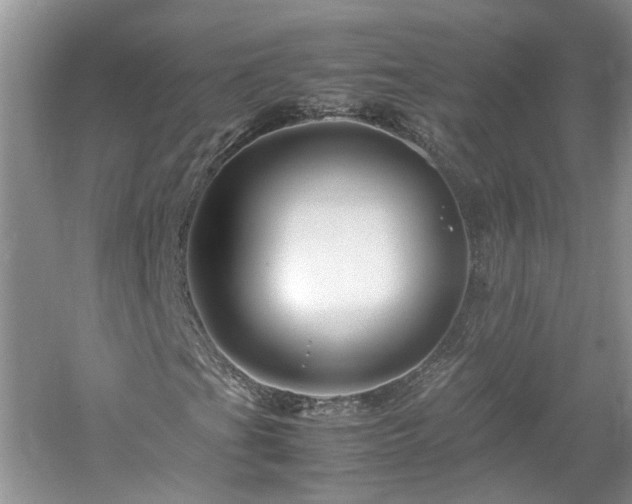 X0000061141201200511181159