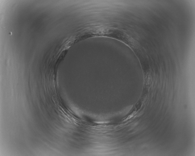 X0000061141202200511181159