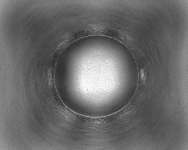 X0000061141203200511181159