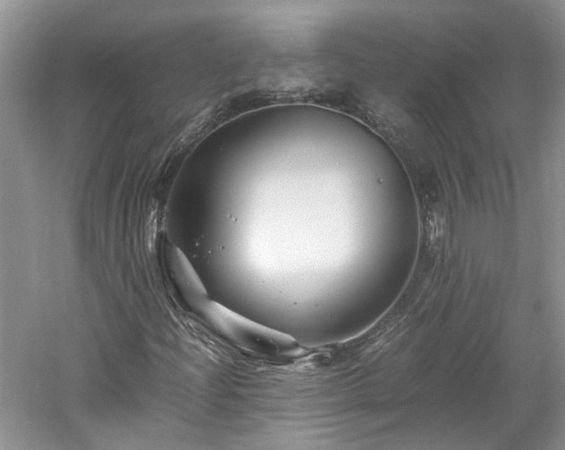 X0000061141204200511181159