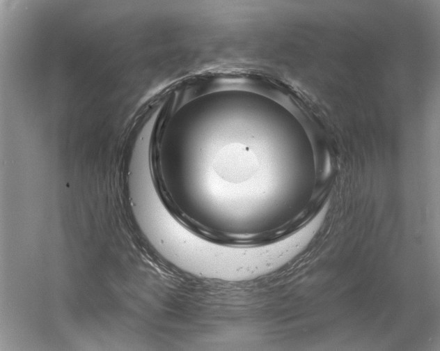 X0000061141206200511181159