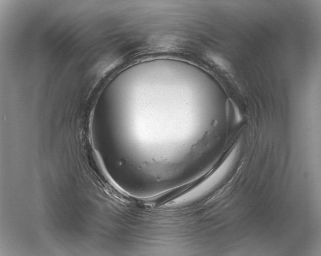 X0000061141210200511181159
