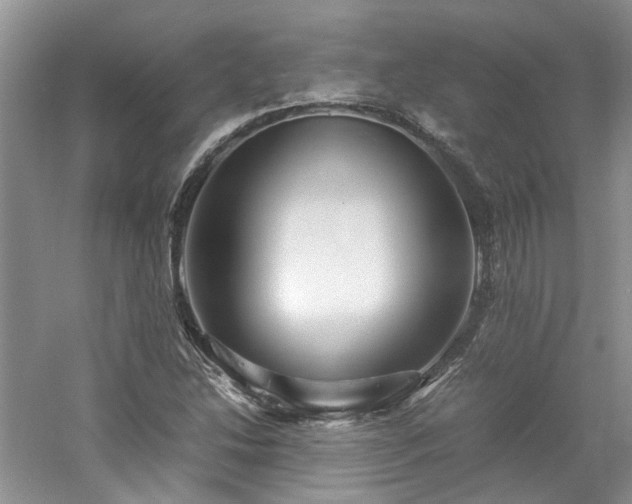 X0000061141214200511181159