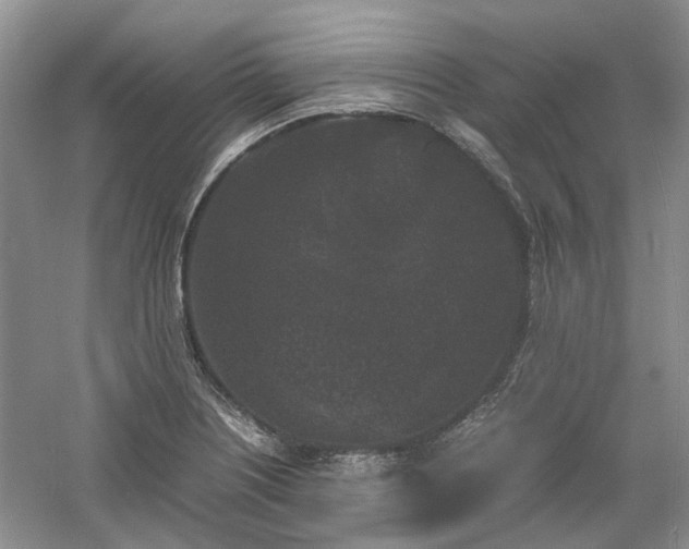 X0000061141226200511181159