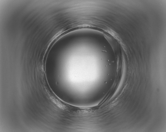 X0000061141234200511181159