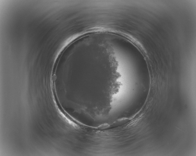 X0000061141239200511181159