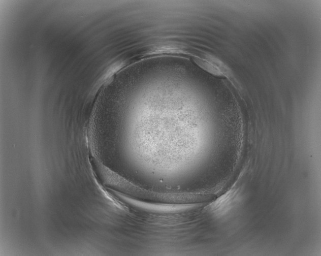 X0000061141241200511181159