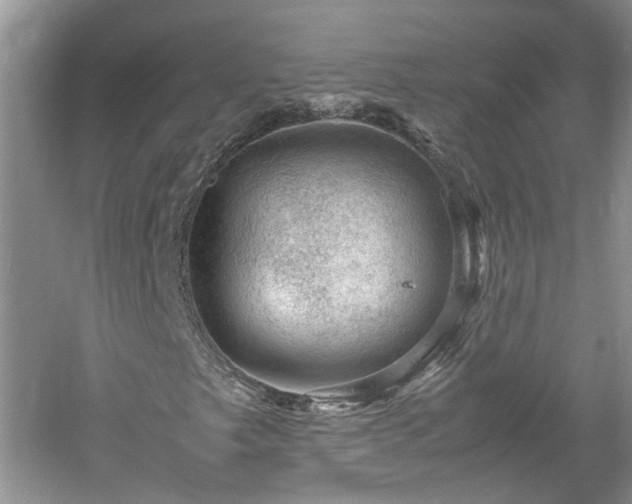 X0000061141249200511181159