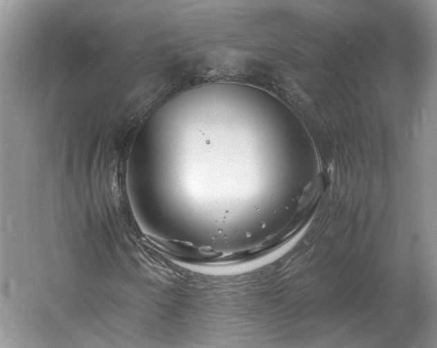 X0000061141250200511181158