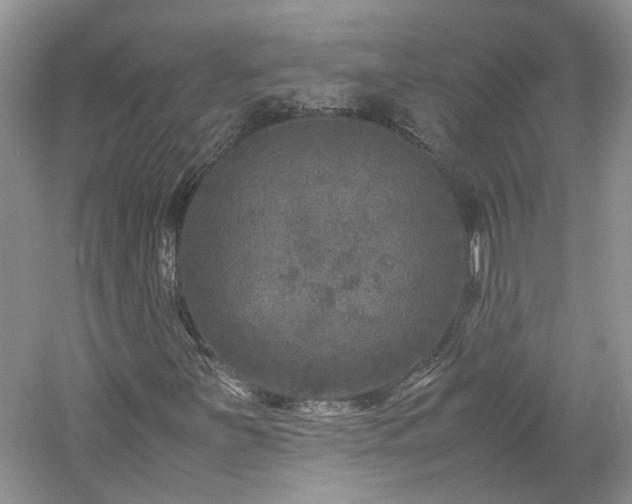 X0000061141251200511181158