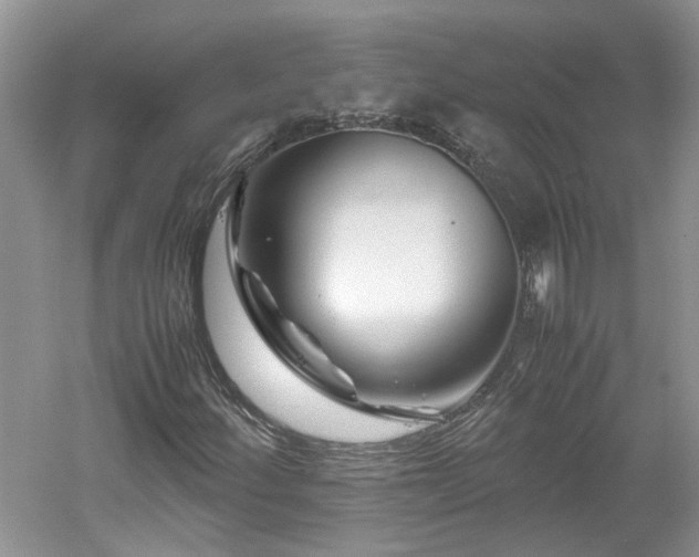 X0000061141252200511181158