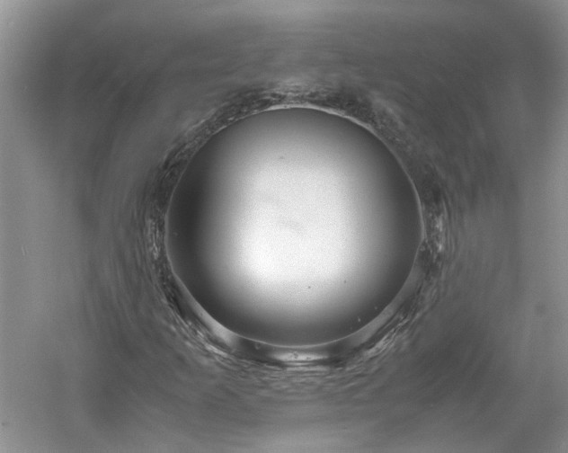 X0000061141253200511181158