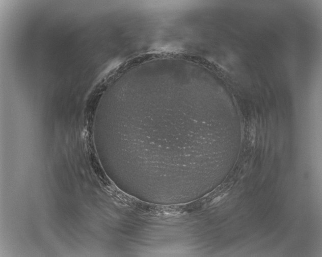 X0000061141254200511181158