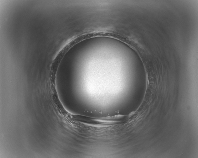 X0000061141256200511181158