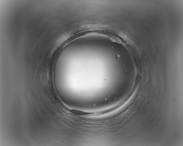X0000061141261200511181158