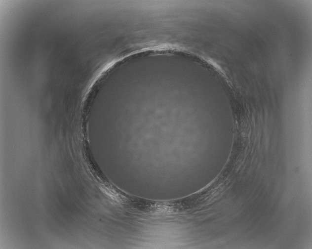 X0000061141263200511181158