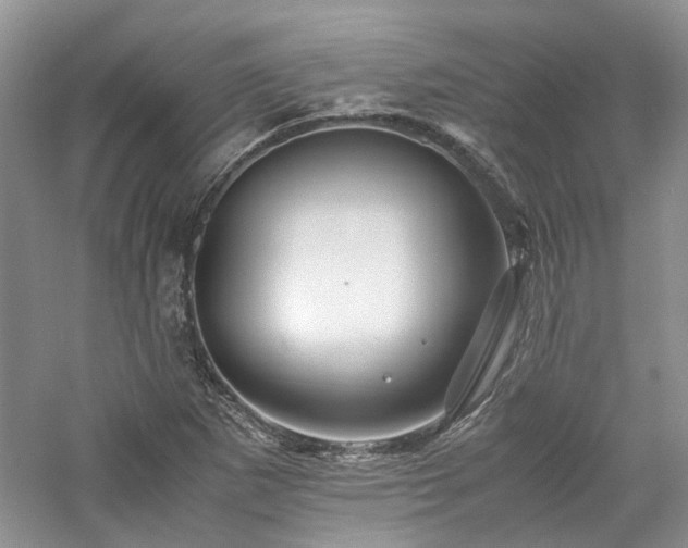 X0000061141265200511181158