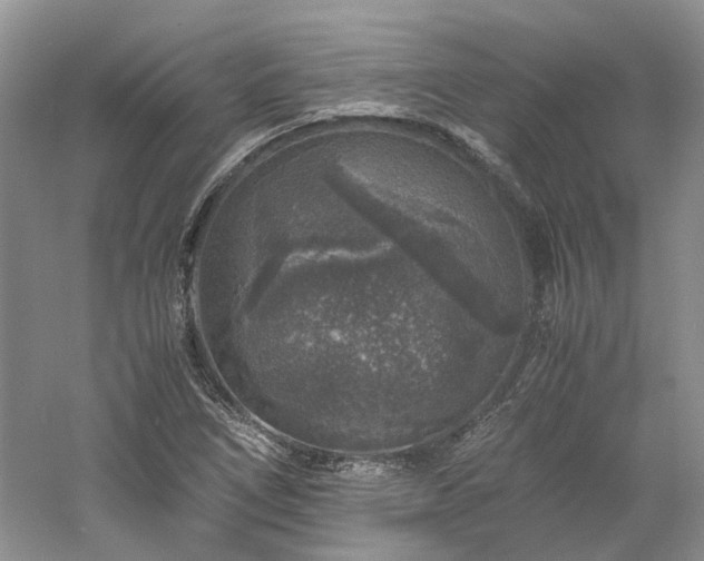 X0000061141266200511181158