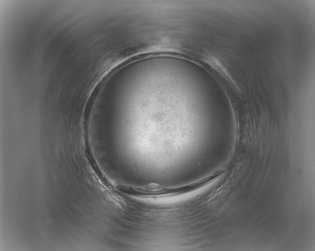 X0000061141268200511181158