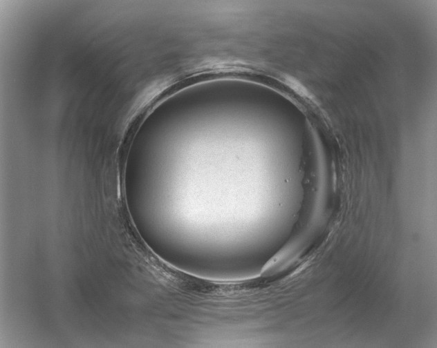 X0000061141269200511181158