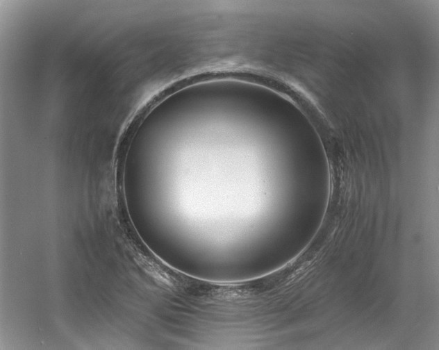 X0000061141270200511181158