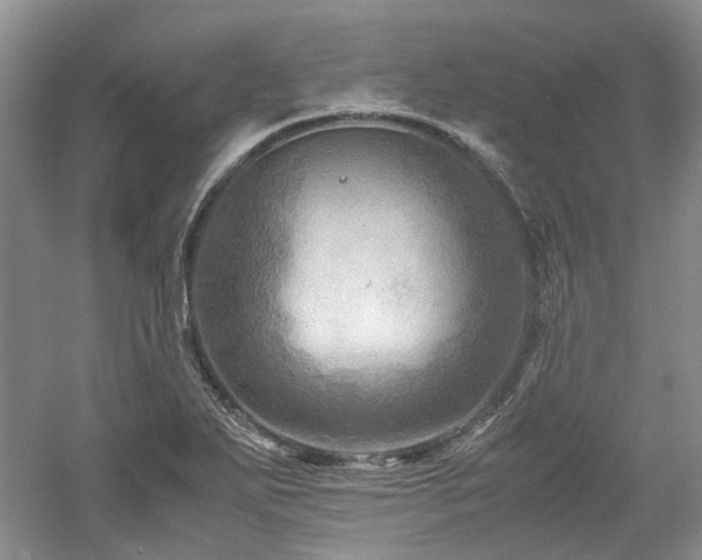 X0000061141271200511181158