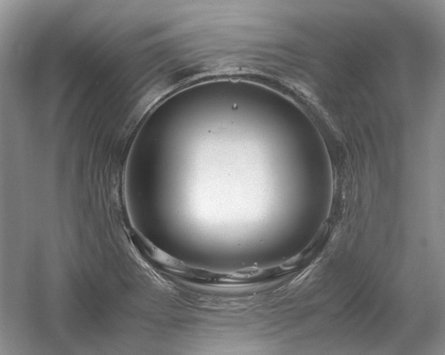 X0000061141273200511181158